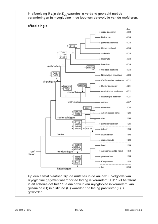 Opgaven examen VWO biologie 2016, tijdvak 2. Pagina 16