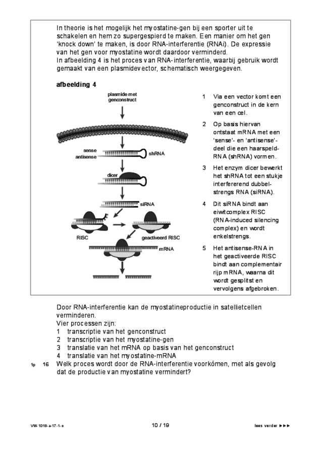 Opgaven examen VWO biologie 2017, tijdvak 1. Pagina 10