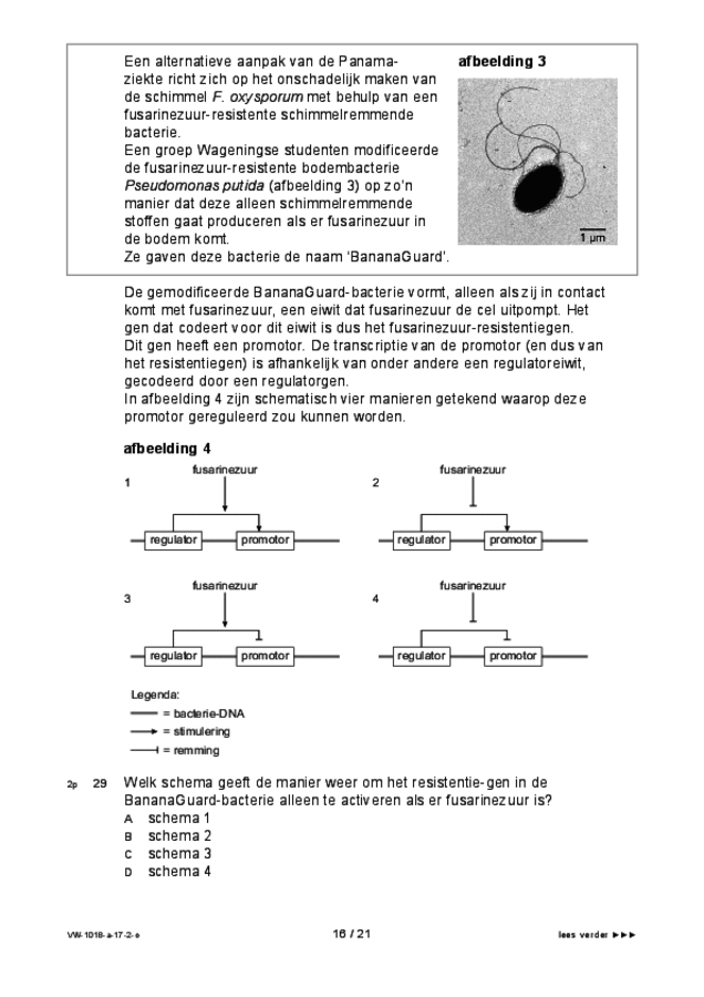 Opgaven examen VWO biologie 2017, tijdvak 2. Pagina 16