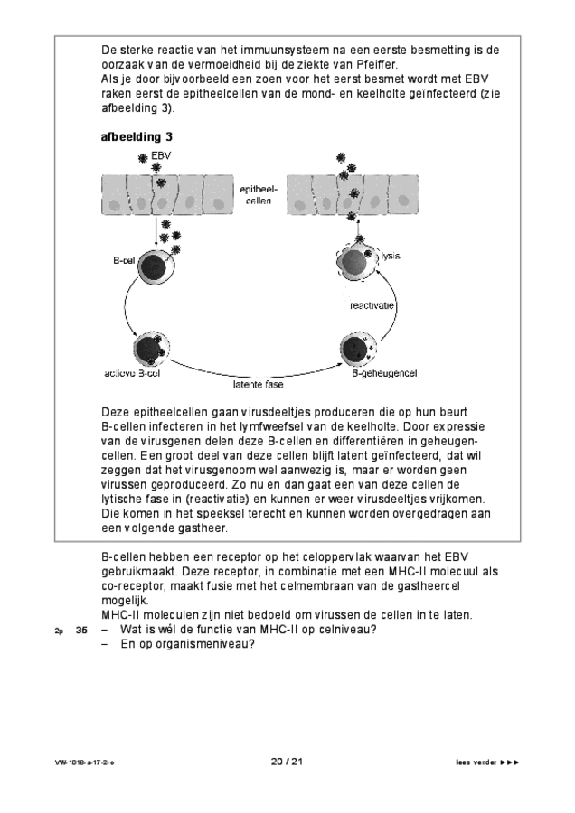 Opgaven examen VWO biologie 2017, tijdvak 2. Pagina 20