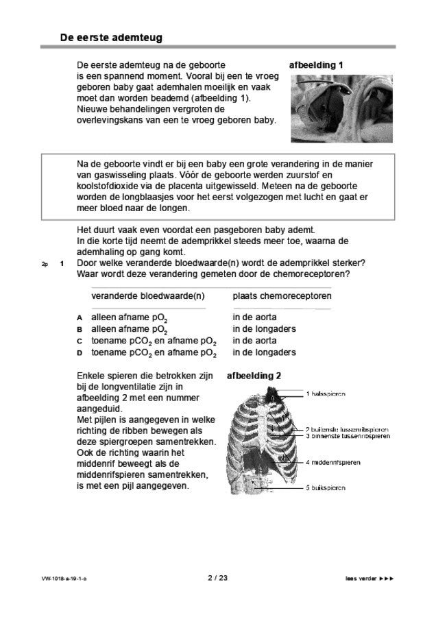 Opgaven examen VWO biologie 2019, tijdvak 1. Pagina 2