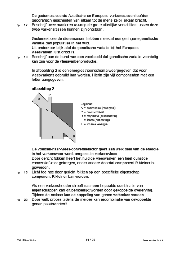 Opgaven examen VWO biologie 2019, tijdvak 1. Pagina 11