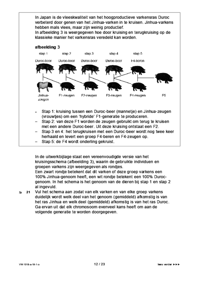 Opgaven examen VWO biologie 2019, tijdvak 1. Pagina 12