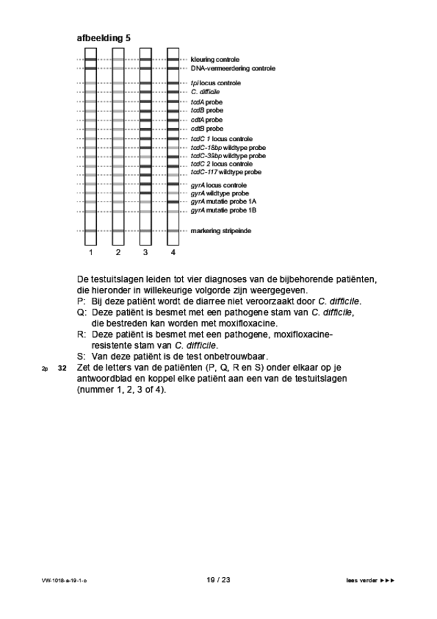 Opgaven examen VWO biologie 2019, tijdvak 1. Pagina 19
