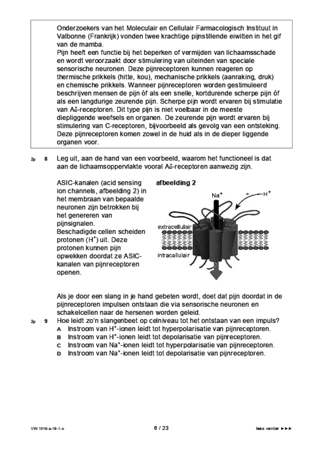 Opgaven examen VWO biologie 2019, tijdvak 1. Pagina 6