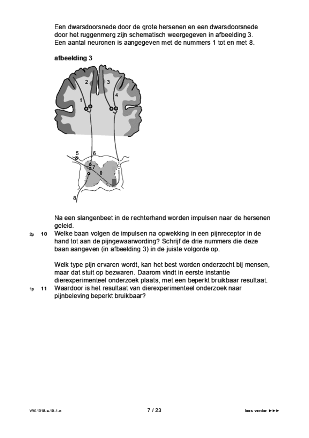 Opgaven examen VWO biologie 2019, tijdvak 1. Pagina 7