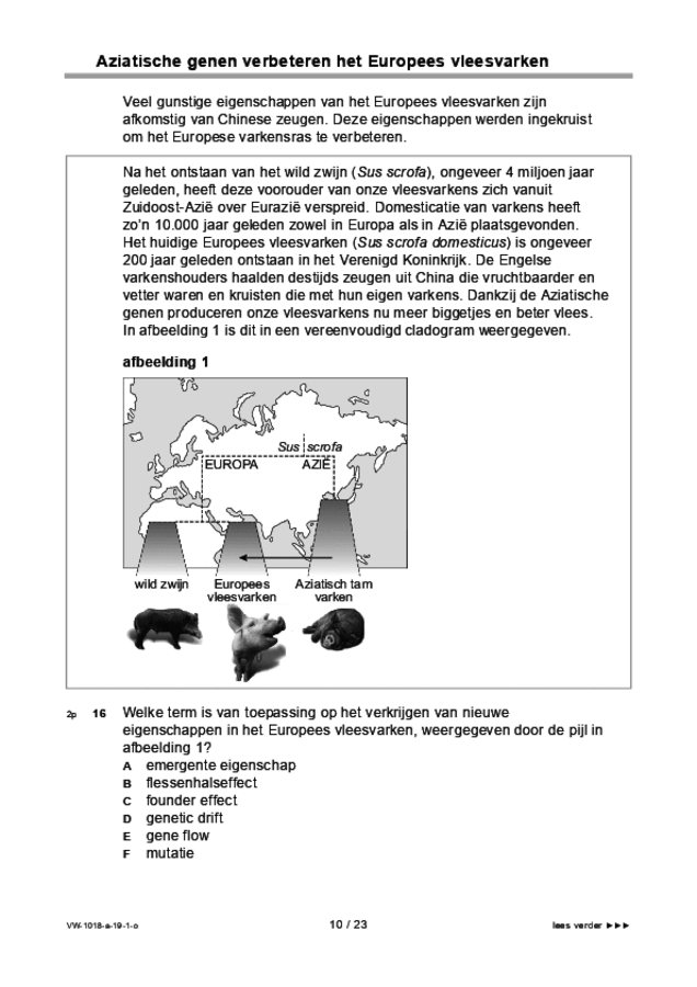 Opgaven examen VWO biologie 2019, tijdvak 1. Pagina 10