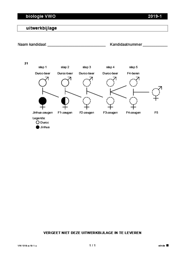 Uitwerkbijlage examen VWO biologie 2019, tijdvak 1. Pagina 1