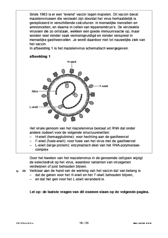 Opgaven examen VWO biologie 2019, tijdvak 2. Pagina 19