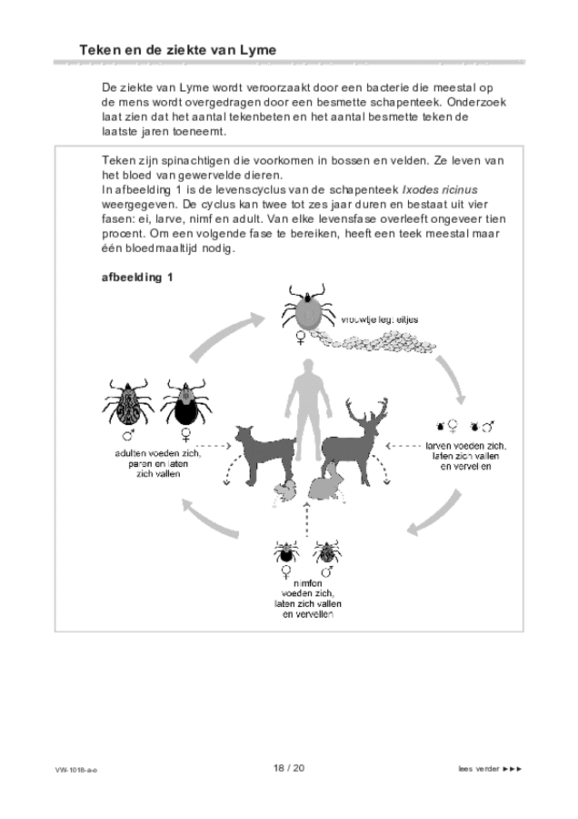 Opgaven examen VWO biologie 2021, tijdvak 1. Pagina 18