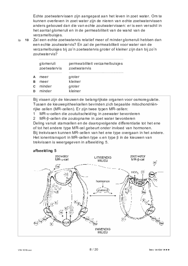 Opgaven examen VWO biologie 2021, tijdvak 1. Pagina 8