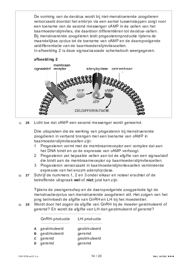 Opgaven examen VWO biologie 2022, tijdvak 1. Pagina 14