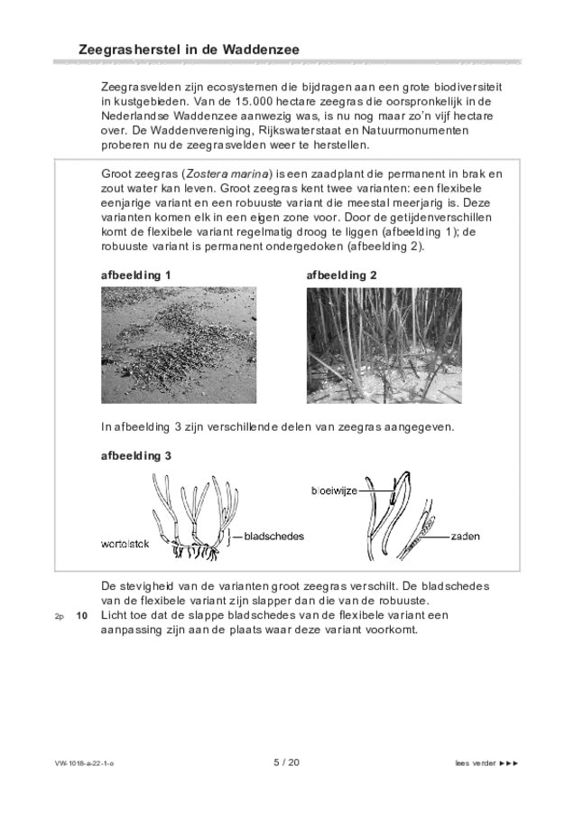 Opgaven examen VWO biologie 2022, tijdvak 1. Pagina 5