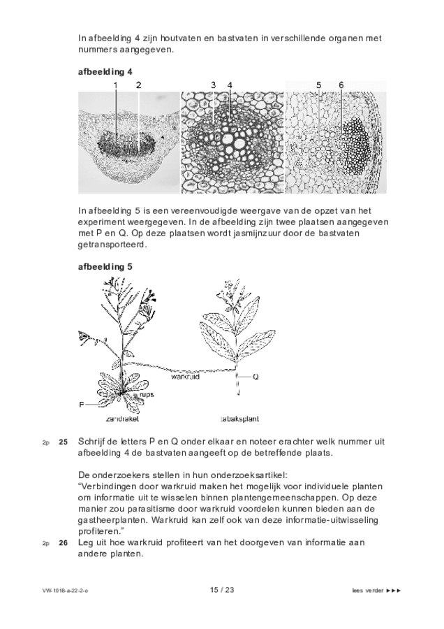 Opgaven examen VWO biologie 2022, tijdvak 2. Pagina 15