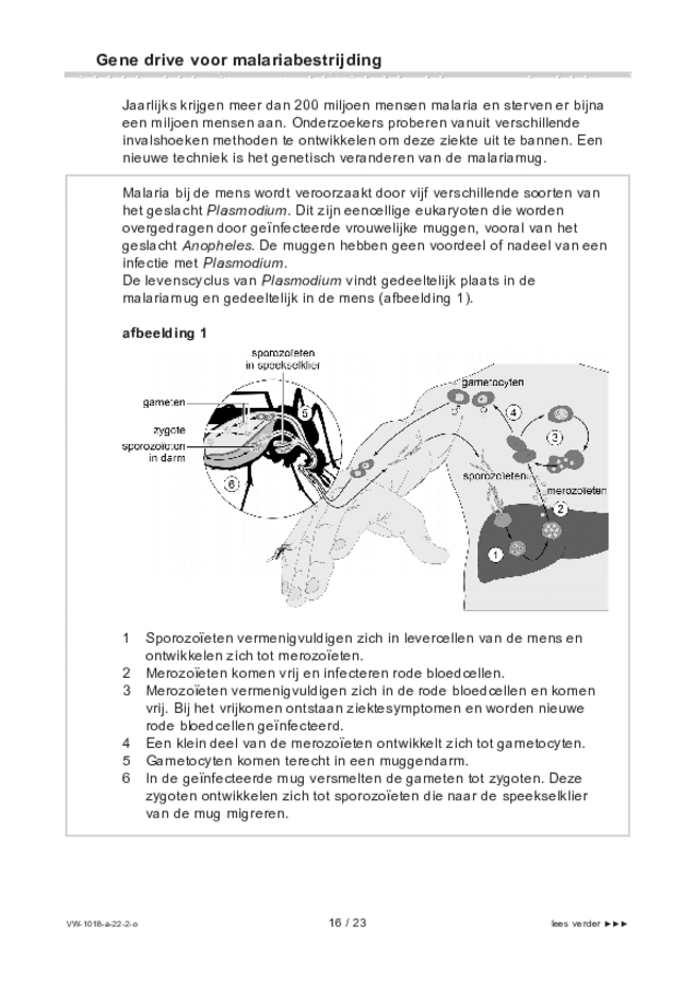 Opgaven examen VWO biologie 2022, tijdvak 2. Pagina 16