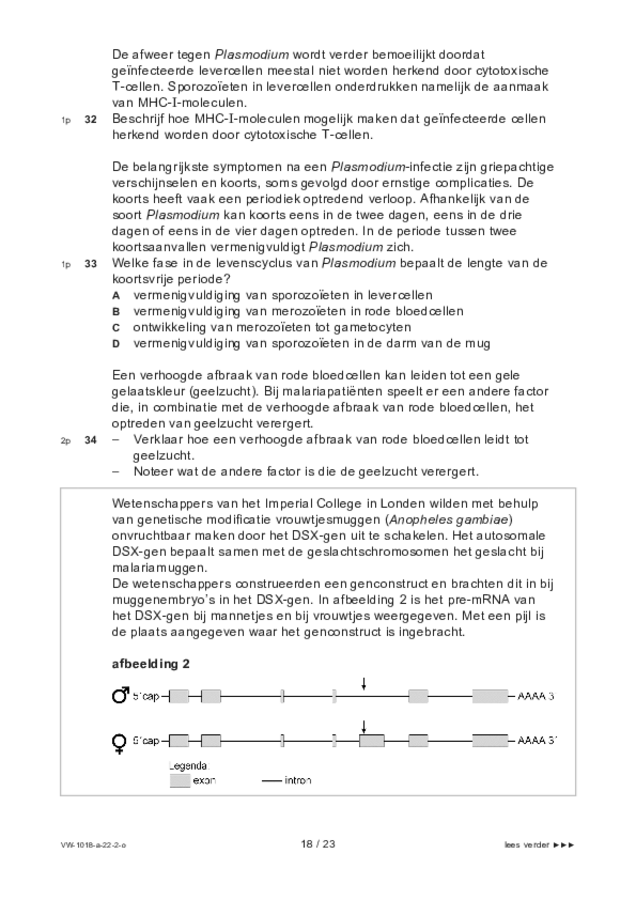 Opgaven examen VWO biologie 2022, tijdvak 2. Pagina 18