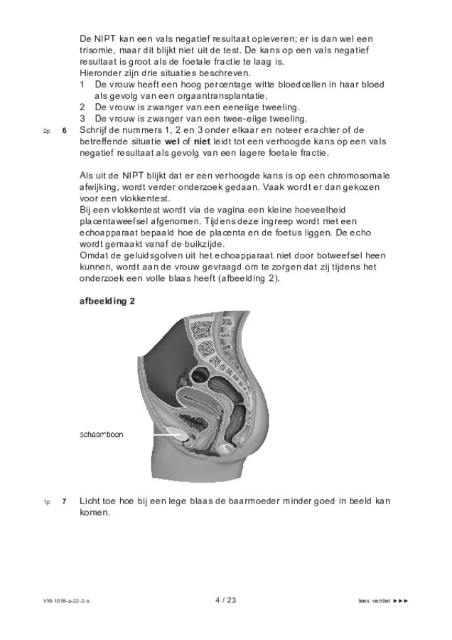 Opgaven examen VWO biologie 2022, tijdvak 2. Pagina 4