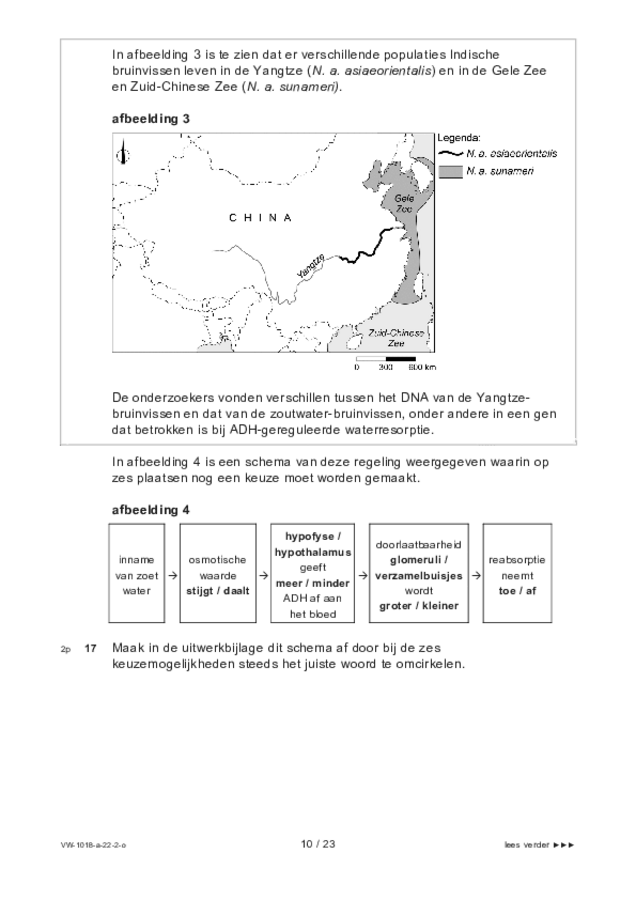 Opgaven examen VWO biologie 2022, tijdvak 2. Pagina 10