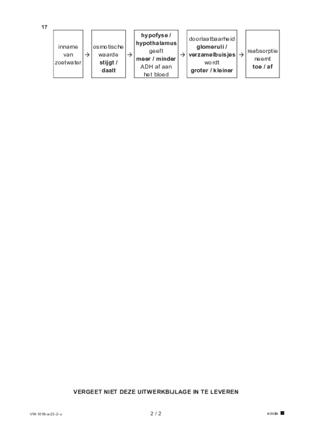 Uitwerkbijlage examen VWO biologie 2022, tijdvak 2. Pagina 2