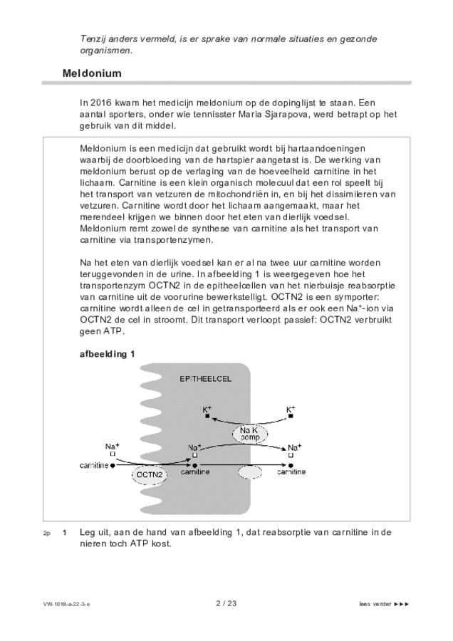 Opgaven examen VWO biologie 2022, tijdvak 3. Pagina 2