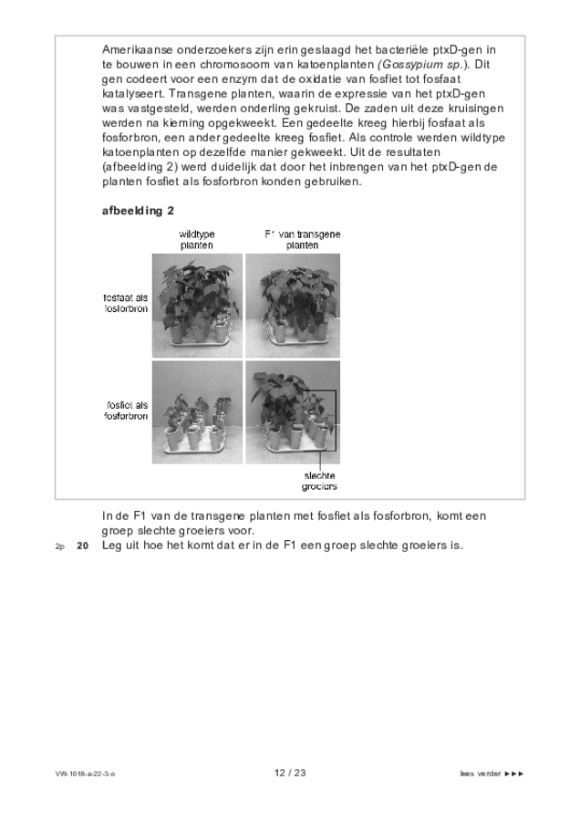 Opgaven examen VWO biologie 2022, tijdvak 3. Pagina 12
