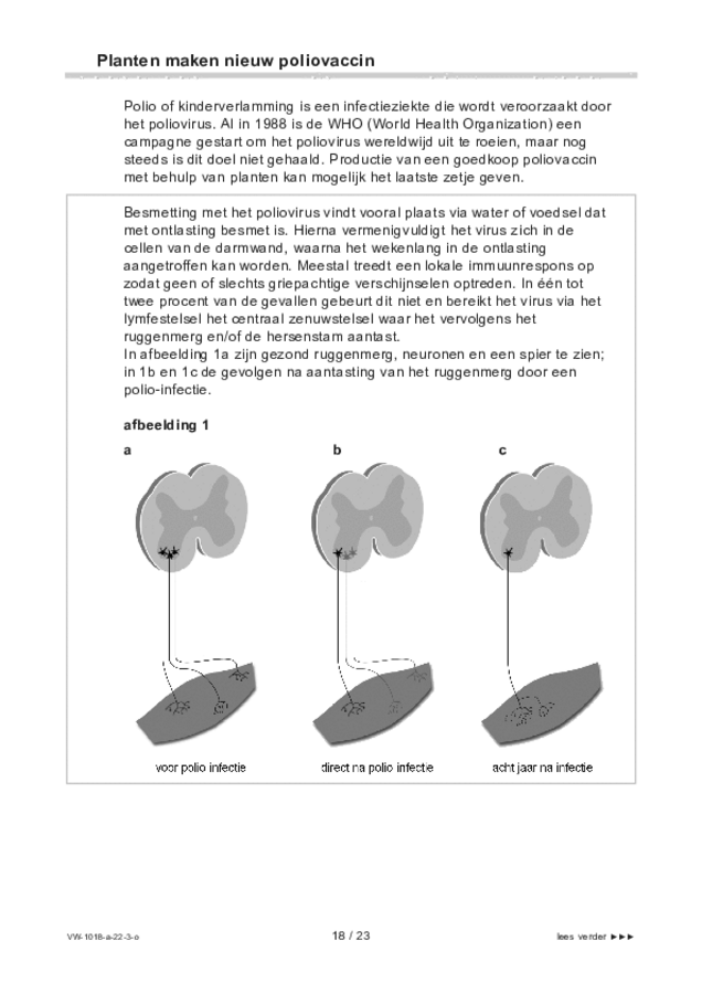 Opgaven examen VWO biologie 2022, tijdvak 3. Pagina 18