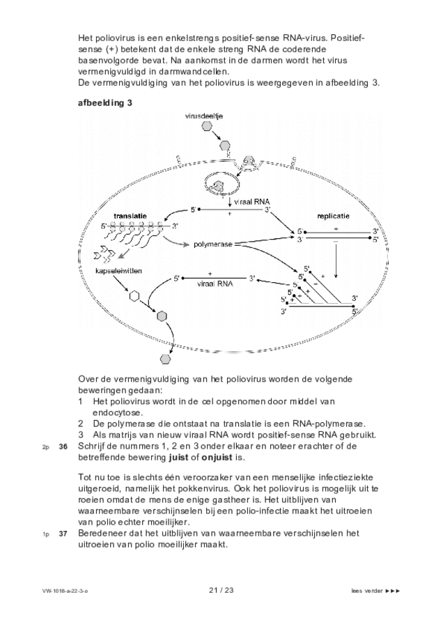 Opgaven examen VWO biologie 2022, tijdvak 3. Pagina 21