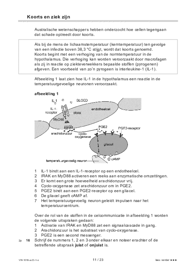 Opgaven examen VWO biologie 2023, tijdvak 1. Pagina 11