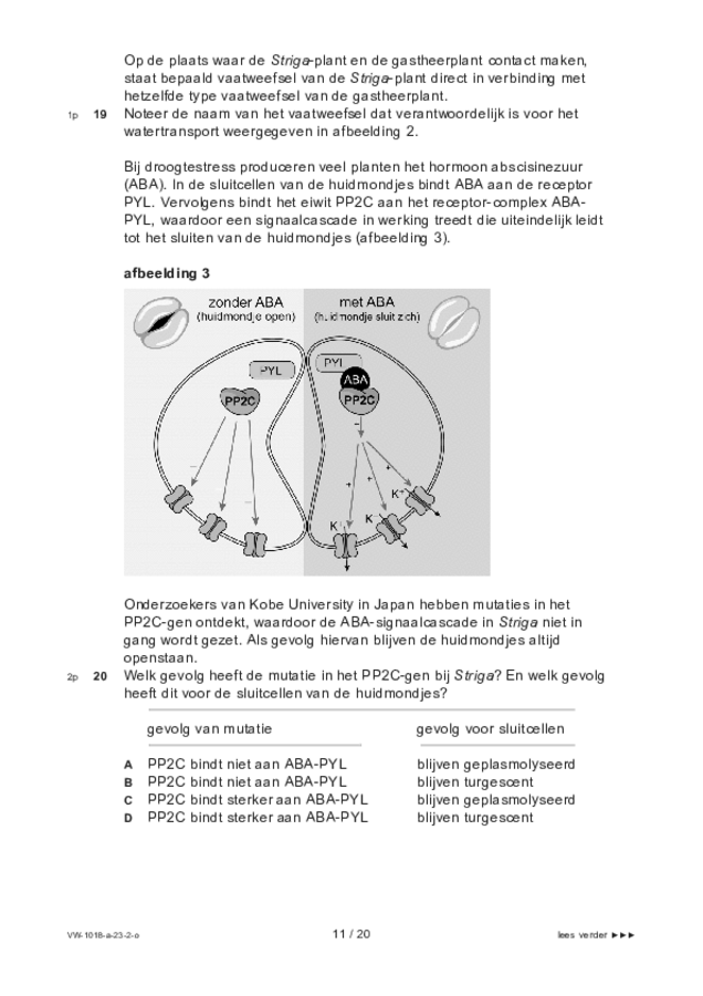 Opgaven examen VWO biologie 2023, tijdvak 2. Pagina 11