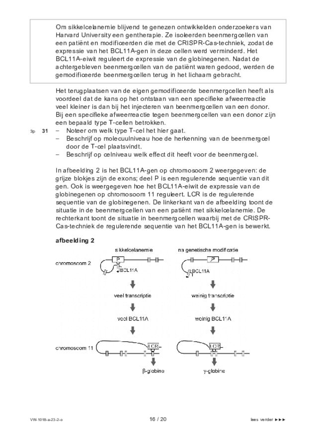 Opgaven examen VWO biologie 2023, tijdvak 2. Pagina 16