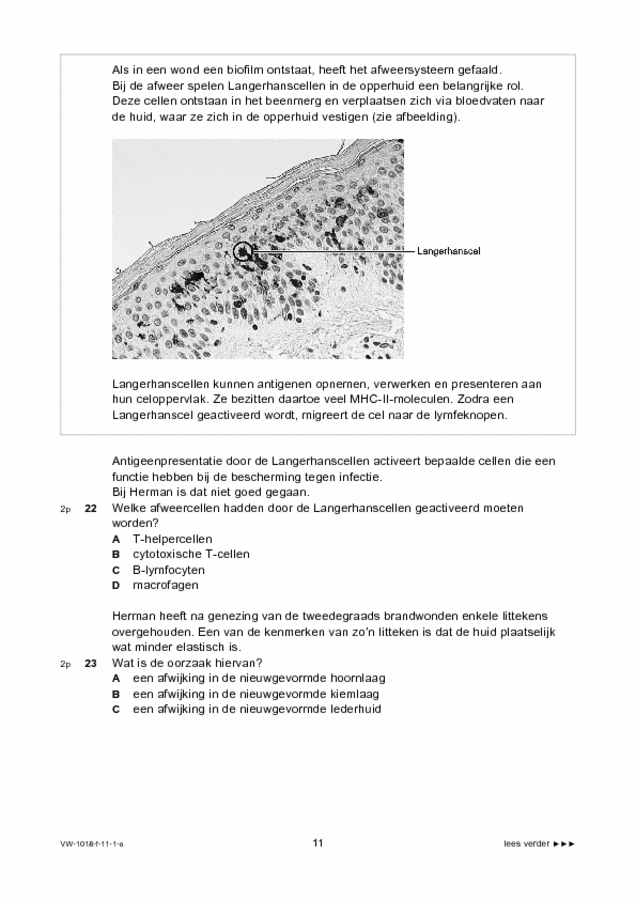 Opgaven examen VWO biologie 2011, tijdvak 1. Pagina 11