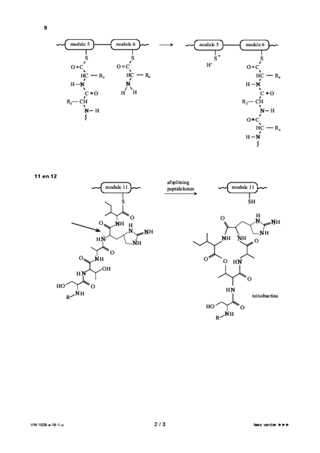 Uitwerkbijlage examen VWO scheikunde 2019, tijdvak 1. Pagina 2