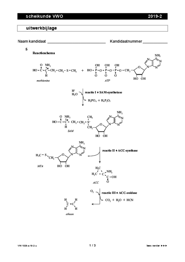 Uitwerkbijlage examen VWO scheikunde 2019, tijdvak 2. Pagina 1