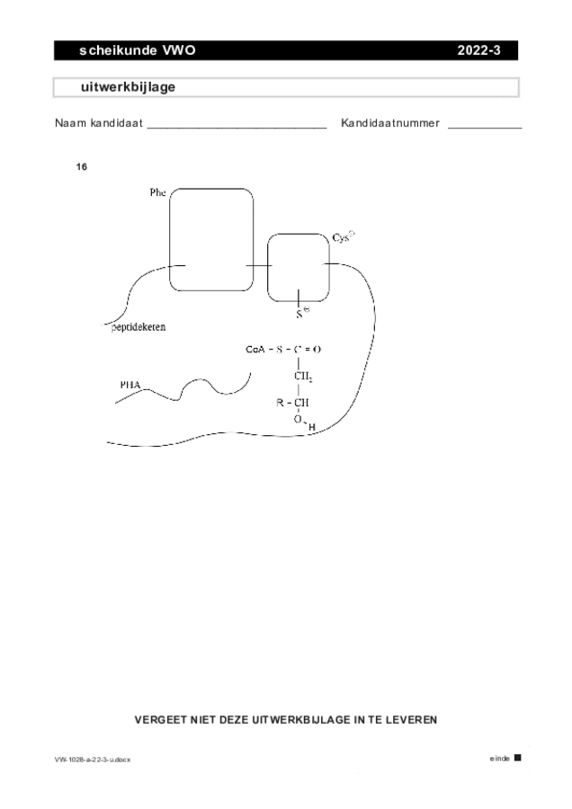 Uitwerkbijlage examen VWO scheikunde 2022, tijdvak 3. Pagina 1