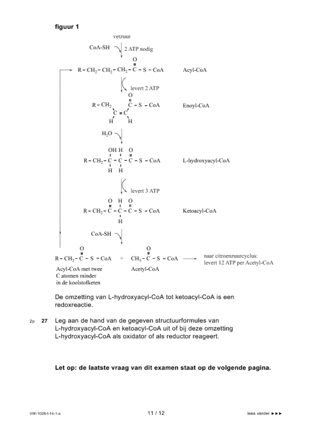 Opgaven examen VWO scheikunde 2014, tijdvak 1. Pagina 11