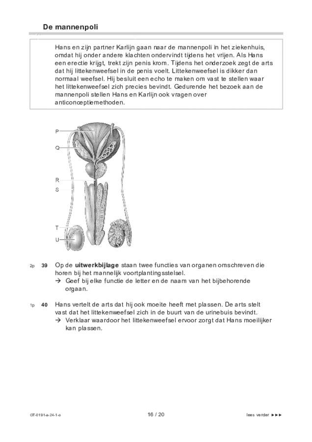 Opgaven examen VMBO GLTL biologie 2024, tijdvak 1. Pagina 16