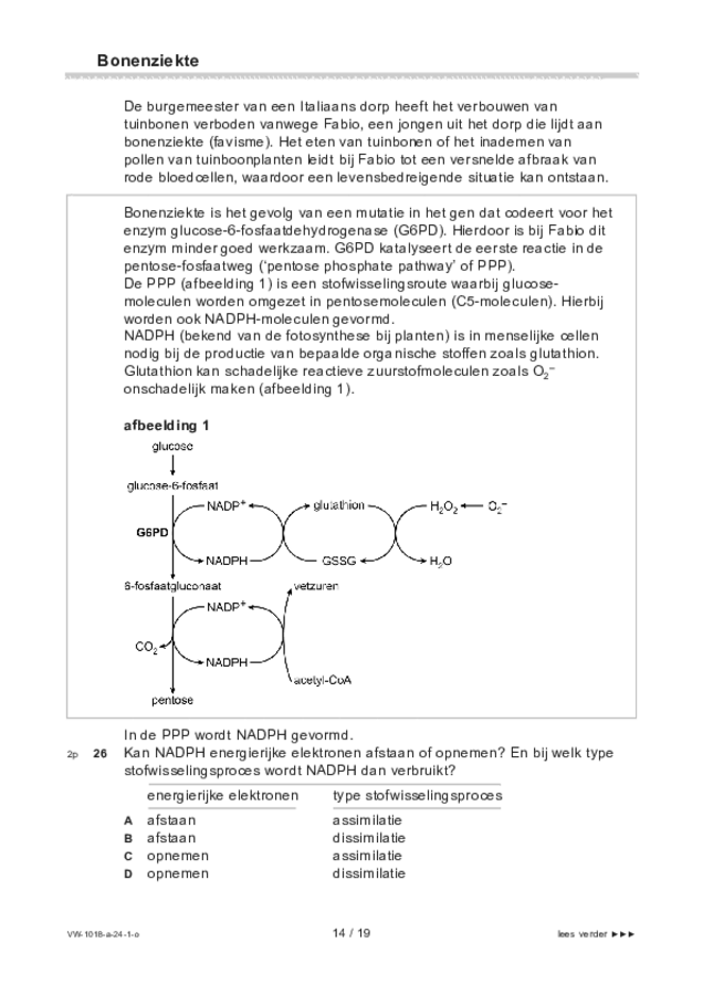 Opgaven examen VWO biologie 2024, tijdvak 1. Pagina 14